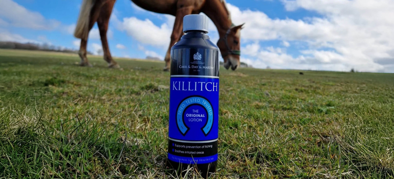 Killitch y otras soluciones contra el picor en caballos
