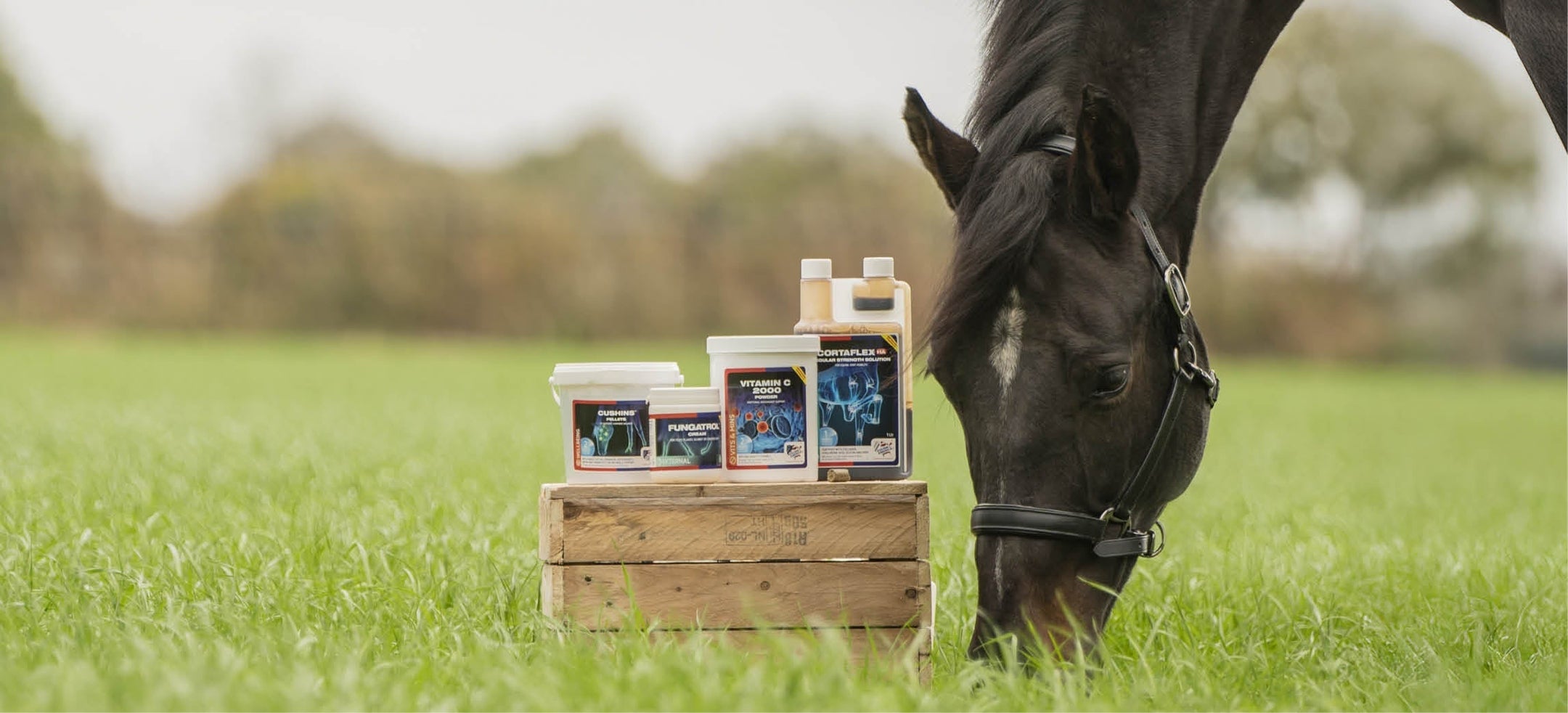 ¿Listo para la nueva temporada? Los productos de primavera y verano de Equine America