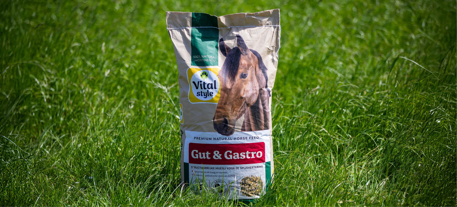 Vitalstyle pienso para caballos destacado