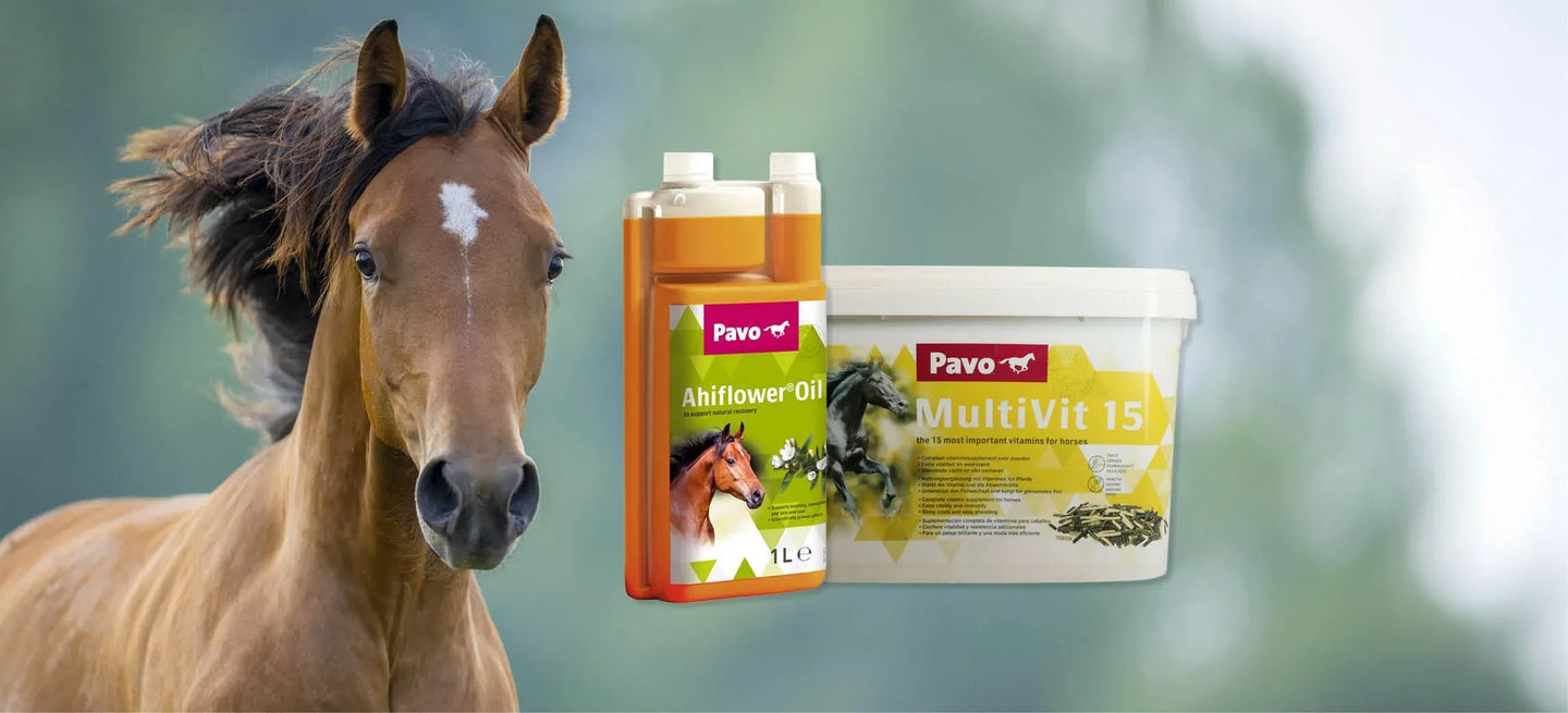Apoya a tu caballo durante la muda del pelaje