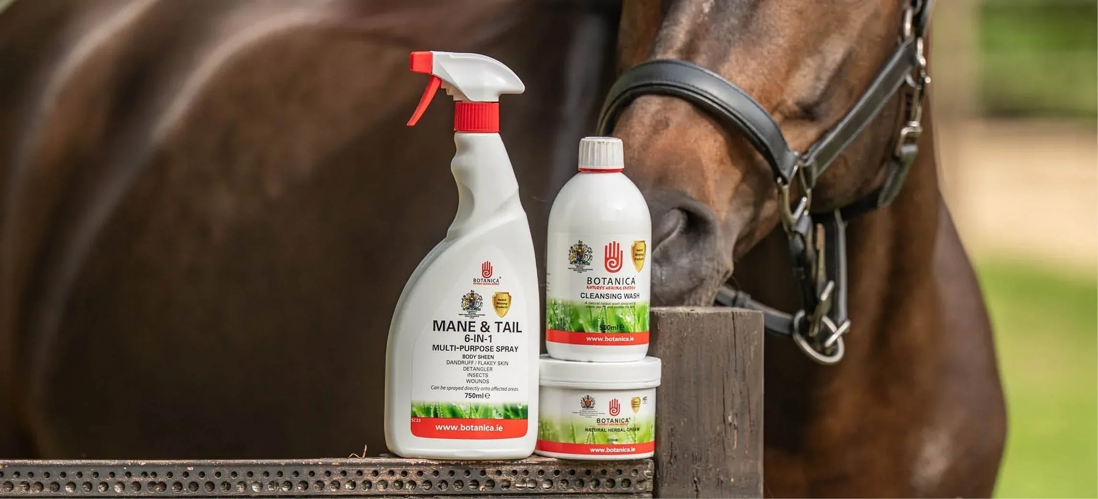 ¡Ayuda a tu caballo con el picor!