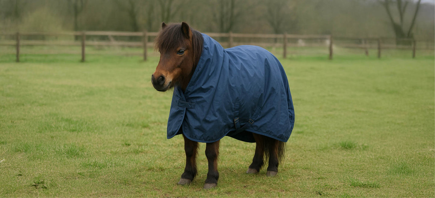 ¿Cómo saber la talla correcta de manta para tu caballo?