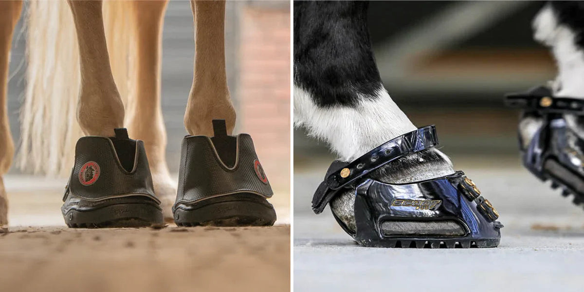 Todo lo que necesitas saber sobre las botas para cascos