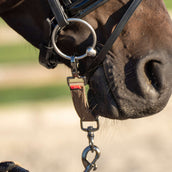 Imperial Riding Adaptador de Bocado para Longear IRH Cappuccino Imperial Riding Adaptador de Bocado para Longear IRH Cappuccino