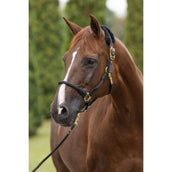 Covalliero Cuerda de Cabestro Anniversary Gancho de mosquetón Graphite Covalliero Cuerda de Cabestro Anniversary Gancho de mosquetón Graphite