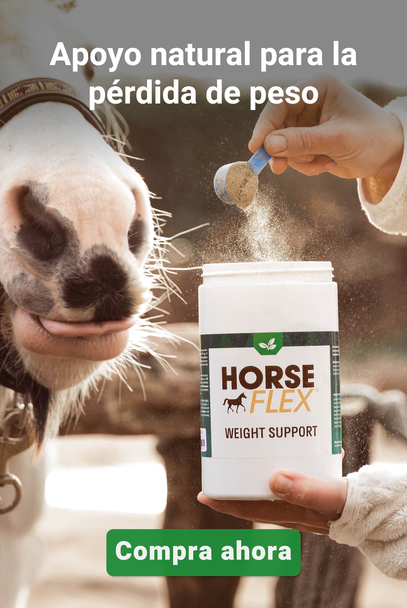 HorseFlex WeightSupport HorseFlex WeightSupport