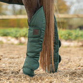 Agradi Horse Protectores de transporte 1200D Verde Agradi Horse Protectores de transporte 1200D Verde