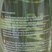 Rapide Shampoo Rapide Shampoo