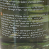 Rapide Shampoo Rapide Shampoo