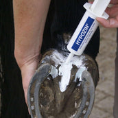 Hypo Putrefacción del casco Hypo Putrefacción del casco