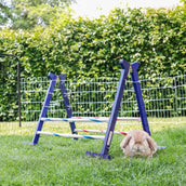 Kerbl Obstáculo de Agilidad para Conejos Kerbl Obstáculo de Agilidad para Conejos