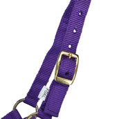 Norton Cabezada Nylon Morado Norton Cabezada Nylon Morado