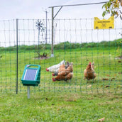 Ako Cinta para Vallas Ako Cinta para Vallas