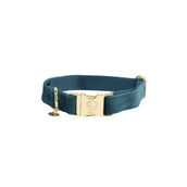 Kentucky Dogwear Halsband Velvet Esmeralda Kentucky Dogwear Halsband Velvet Esmeralda