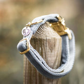 Kentucky Dogwear Halsband Velvet Azul claro Kentucky Dogwear Halsband Velvet Azul claro