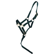 Norton Cabestro para Potro con línea Verde Oscuro Norton Cabestro para Potro con línea Verde Oscuro