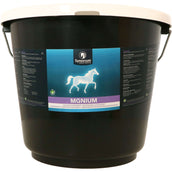 Synovium Mgnium Magnesium Synovium Mgnium Magnesium