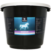 Synovium Mgnium Magnesium Synovium Mgnium Magnesium