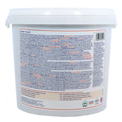 Equine America Cojines Equine America Cojines