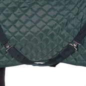 HB Manta de exhibición Desire160gr Verde bosque HB Manta de exhibición Desire160gr Verde bosque