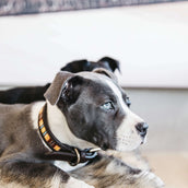 Kentucky Dogwear Halsband Handmade Pearls Pure Orange Kentucky Dogwear Halsband Handmade Pearls Pure Orange