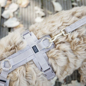 Kentucky Dogwear Correa para Perro Velvet Beige Kentucky Dogwear Correa para Perro Velvet Beige