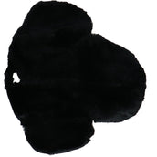 F.R.A. Asiento de Silla R6 Negro F.R.A. Asiento de Silla R6 Negro