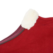 Diego & Louna Manta para Perros Polar Bordeaux Diego & Louna Manta para Perros Polar Bordeaux