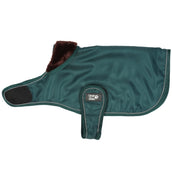 Diego & Louna Manta para Perros Nylon Verde Diego & Louna Manta para Perros Nylon Verde