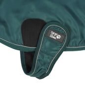 Diego & Louna Manta para Perros Nylon Verde Diego & Louna Manta para Perros Nylon Verde