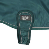 Diego & Louna Manta para Perros Nylon Verde Diego & Louna Manta para Perros Nylon Verde