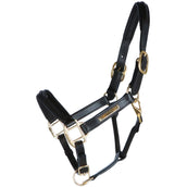 HB Cabezada Horse Name Cuero Marron HB Cabezada Horse Name Cuero Marron