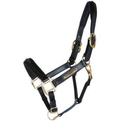 HB Cabezada Horse Name Cuero Marron HB Cabezada Horse Name Cuero Marron