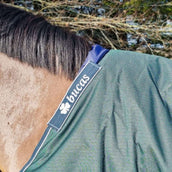 Bucas Protector de Cruz Azul Bucas Protector de Cruz Azul