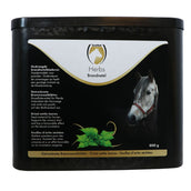 Excellent Hierbas Ortiga Excellent Hierbas Ortiga