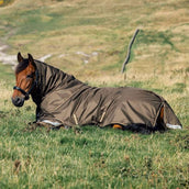 LeMieux Manta de exterior Arika 600D 100g Alpine LeMieux Manta de exterior Arika 600D 100g Alpine