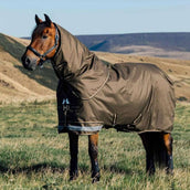 LeMieux Manta de exterior Arika 600D 100g Alpine LeMieux Manta de exterior Arika 600D 100g Alpine