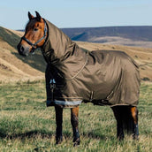 LeMieux Manta de exterior Arika 600D 100g Alpine LeMieux Manta de exterior Arika 600D 100g Alpine