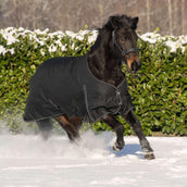 Waldhausen Alfombra de Exterior Nordic 300g Negro Waldhausen Alfombra de Exterior Nordic 300g Negro