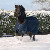 Waldhausen Alfombra de Exterior Nordic 100g Azul Noche Waldhausen Alfombra de Exterior Nordic 100g Azul Noche