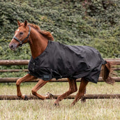 Waldhausen Alfombra de Exterior Nordic 100g Negro Waldhausen Alfombra de Exterior Nordic 100g Negro