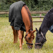 Waldhausen Alfombra de Exterior Nordic 100g Negro Waldhausen Alfombra de Exterior Nordic 100g Negro