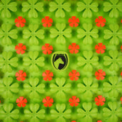 Excellent Alfombra Olfativa Horse Excellent Alfombra Olfativa Horse