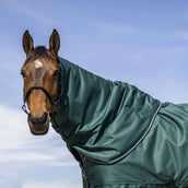 EQUITHÈME Cubrecuellos 600D 0g Verde EQUITHÈME Cubrecuellos 600D 0g Verde