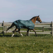 EQUITHÈME Alfombra de Exterior 600D Standard 300g Verde EQUITHÈME Alfombra de Exterior 600D Standard 300g Verde