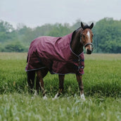 EQUITHÈME Alfombra de Exterior 1200D 0g High Neck Burdeos EQUITHÈME Alfombra de Exterior 1200D 0g High Neck Burdeos