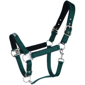 Agradi Horse Cabezada Athletic Fir Green Agradi Horse Cabezada Athletic Fir Green