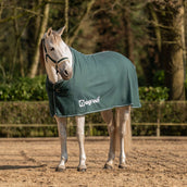 Agradi Horse Manta de Forro Polar Economic Fir Green Agradi Horse Manta de Forro Polar Economic Fir Green