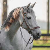 F.R.A. Esprit Naturaleza F.R.A. Esprit Naturaleza