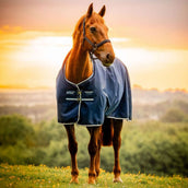 Amigo Ripstop 900D Pony 50g Witney Navy Amigo Ripstop 900D Pony 50g Witney Navy
